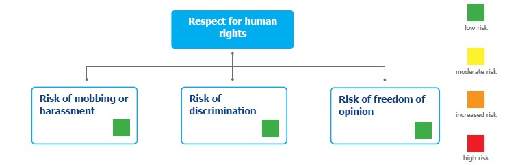 Respect for human rights